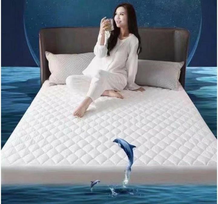 Water Proof Mattress Protector