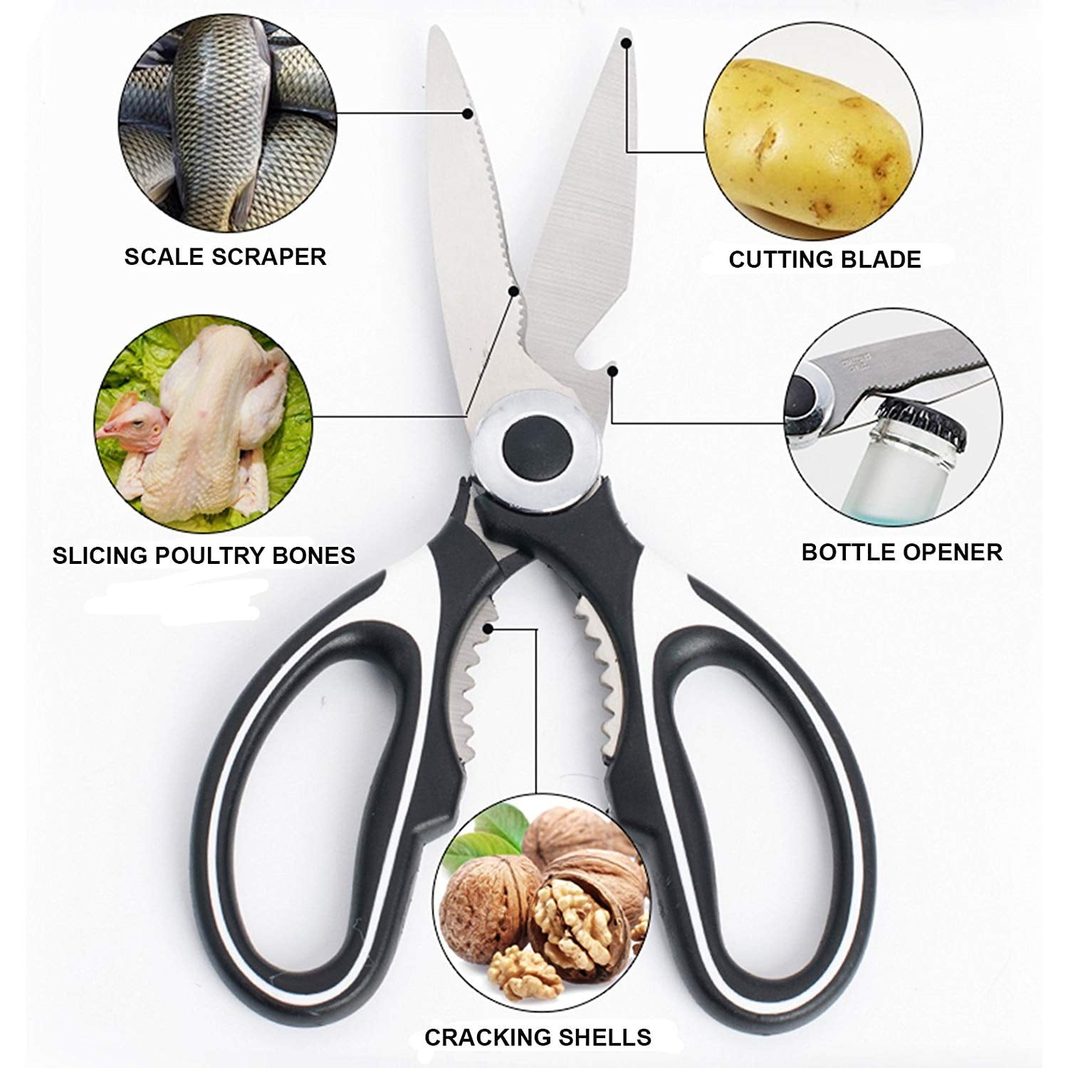 Kitchen Scissors