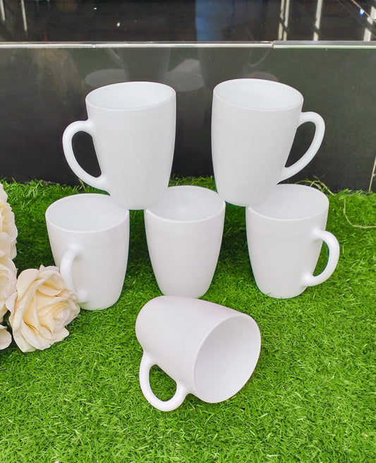 6pcs glass mugs